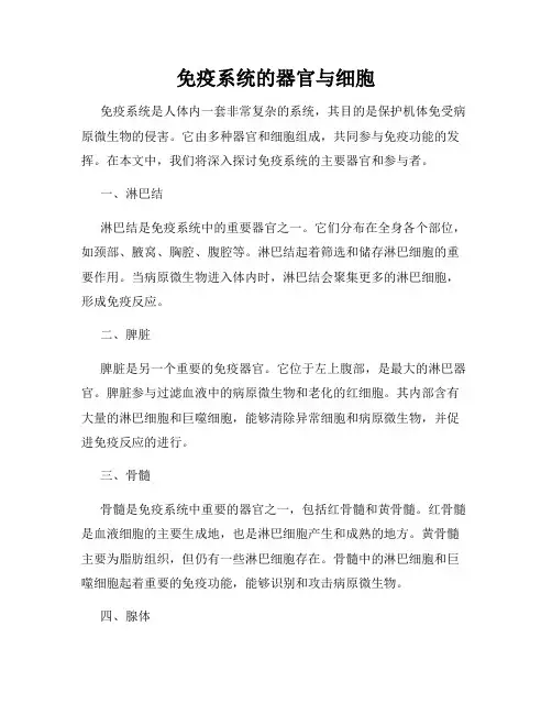 免疫系统的器官与细胞