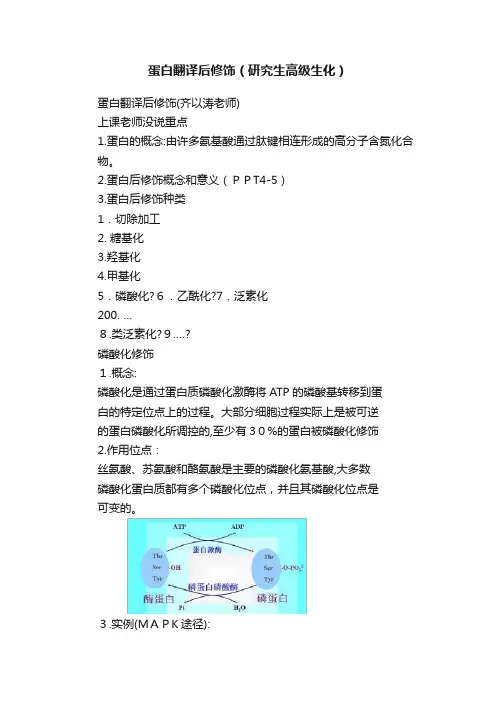 蛋白翻译后修饰（研究生高级生化）