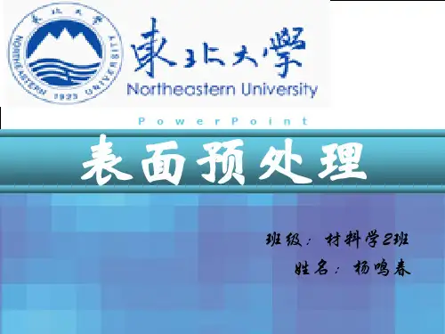 表面预处理