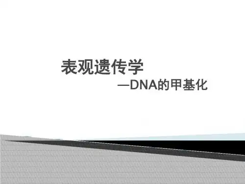 表观遗传学