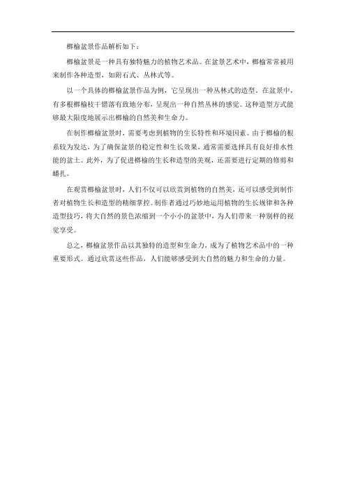 榔榆盆景作品解析