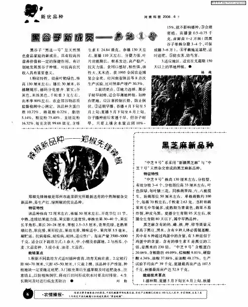 黑芝麻新品种——中芝9号