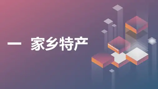 一家乡特产(课件)粤教版五年级上册综合实践活动