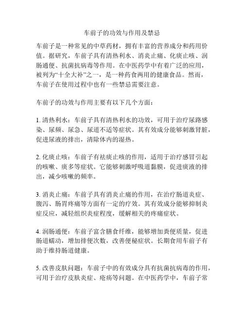 车前子的功效与作用及禁忌