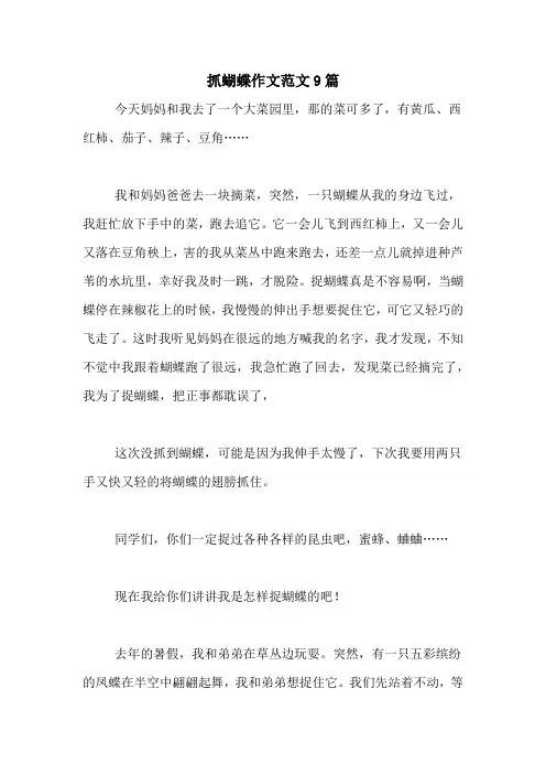 抓蝴蝶作文范文9篇