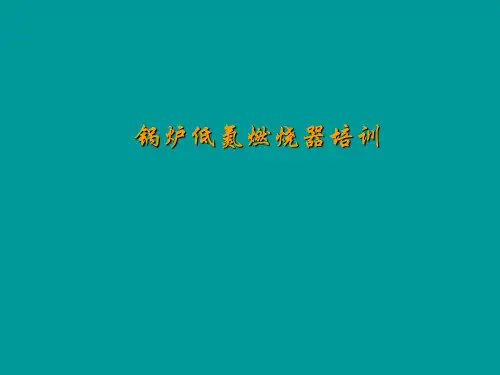 低氮燃烧系统设备培训说明资料