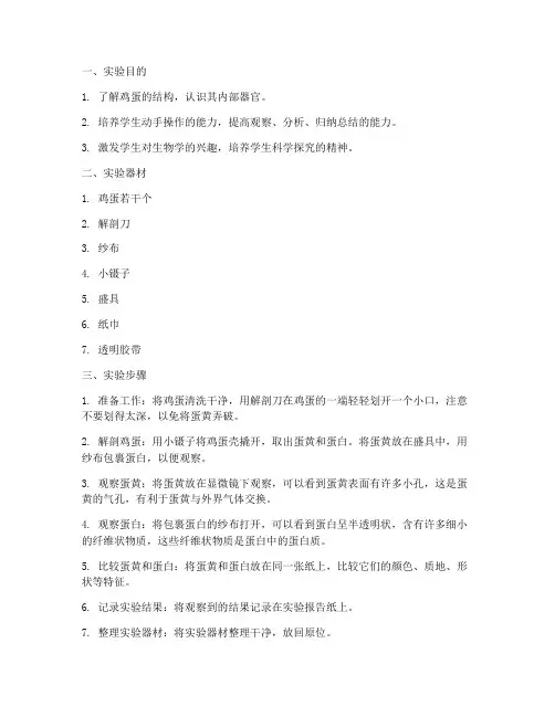 小学解剖鸡蛋的实验报告