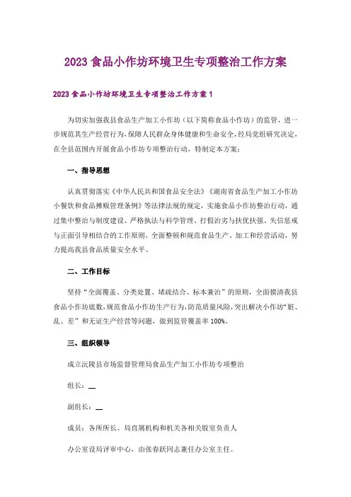 2023食品小作坊环境卫生专项整治工作方案