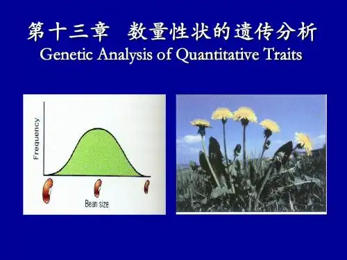 第十三章   数量性状