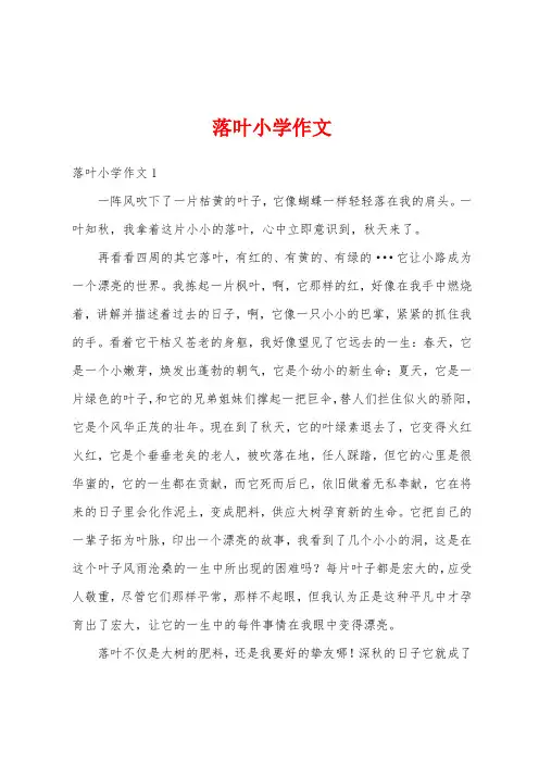 落叶小学作文