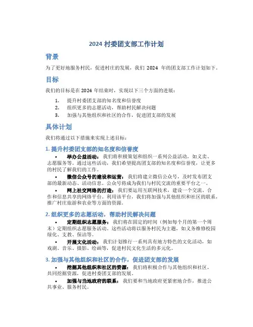 2024村委团支部工作计划