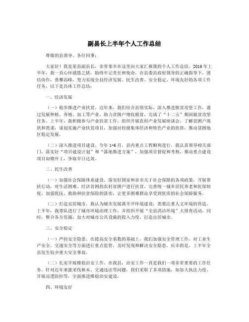 副县长上半年个人工作总结