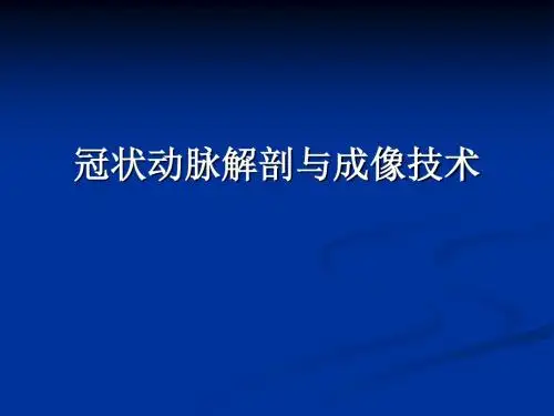 冠状动脉解剖与冠心病ct