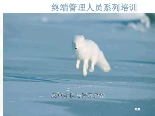 常用皮草知识