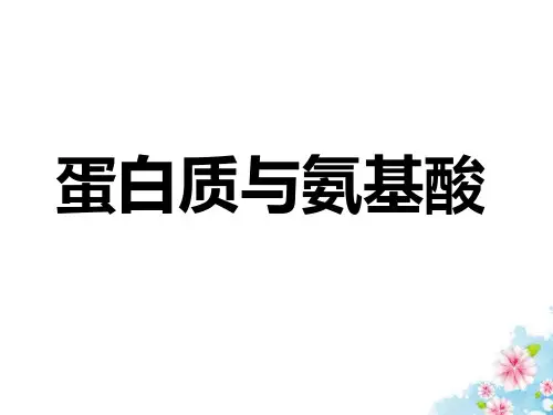 苏教化学必修2专题3第二单元 食品中的有机化合物  (共28张PPT)