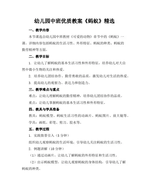 幼儿园中班优质教案《蚂蚁》精选
