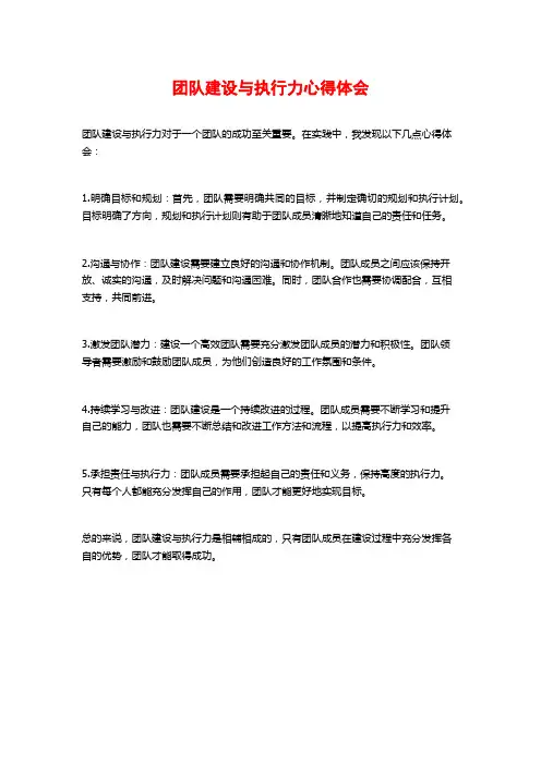 团队建设与执行力心得体会