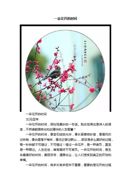 一朵花开的时间