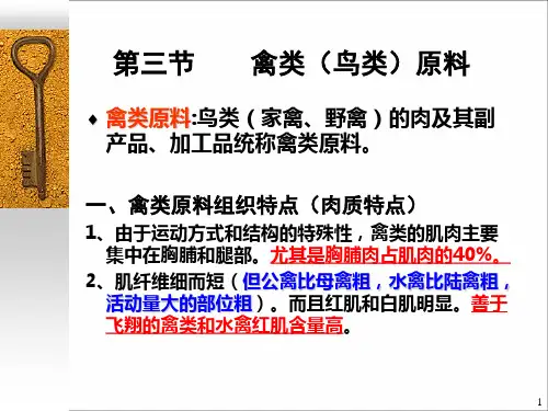 第3章动物性原料 (禽类(鸟类)原料)