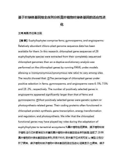 基于叶绿体基因组全序列分析真叶植物叶绿体基因的适应性进化