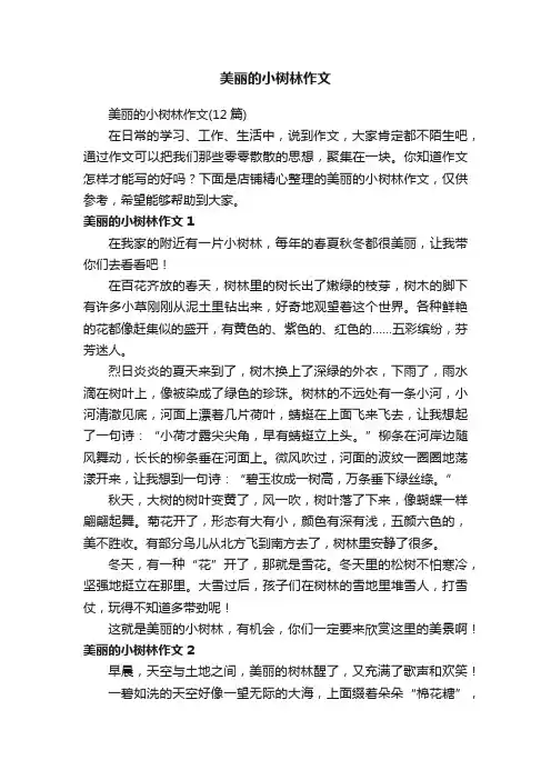 美丽的小树林作文