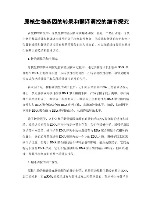 原核生物基因的转录和翻译调控的细节探究