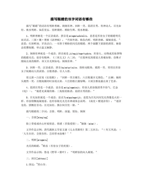 描写眼睛的双字词语有哪些