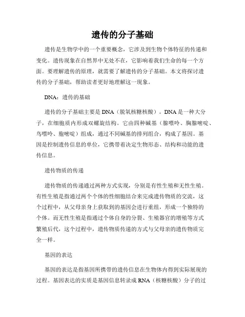 遗传的分子基础