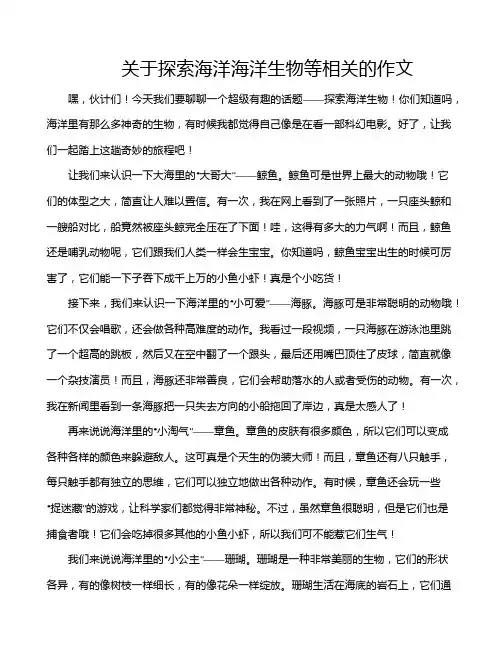 关于探索海洋海洋生物等相关的作文
