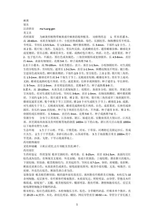 中药麻黄