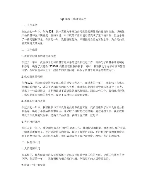 sqe年度工作计划总结