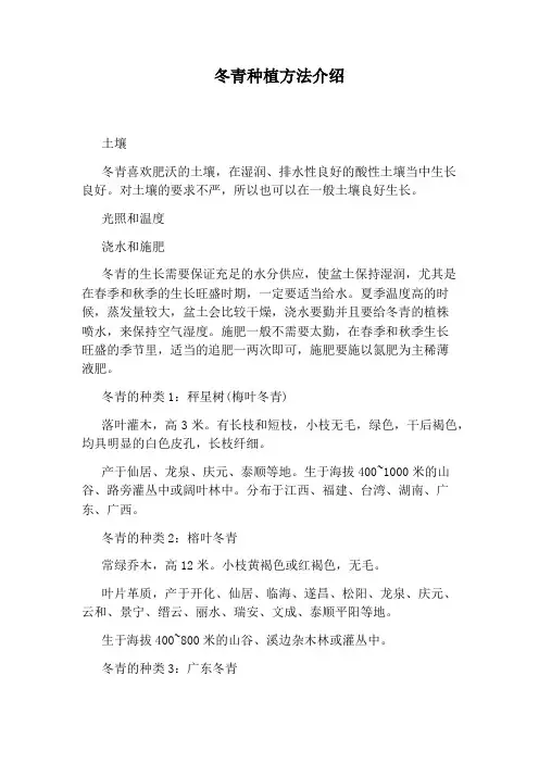冬青种植方法介绍