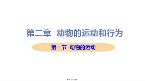 新人教版八年级上册初中生物 第一节 动物的运动 教学课件
