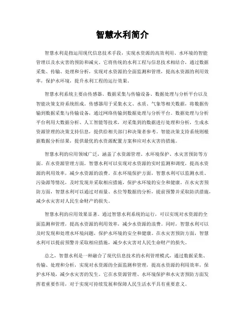 智慧水利简介
