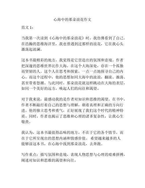心海中的那朵浪花作文