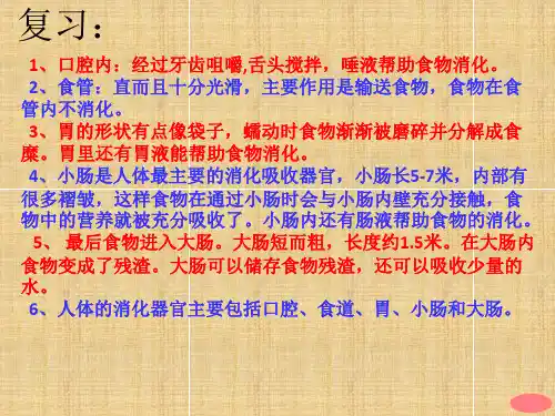 6.食物在口腔里的变化