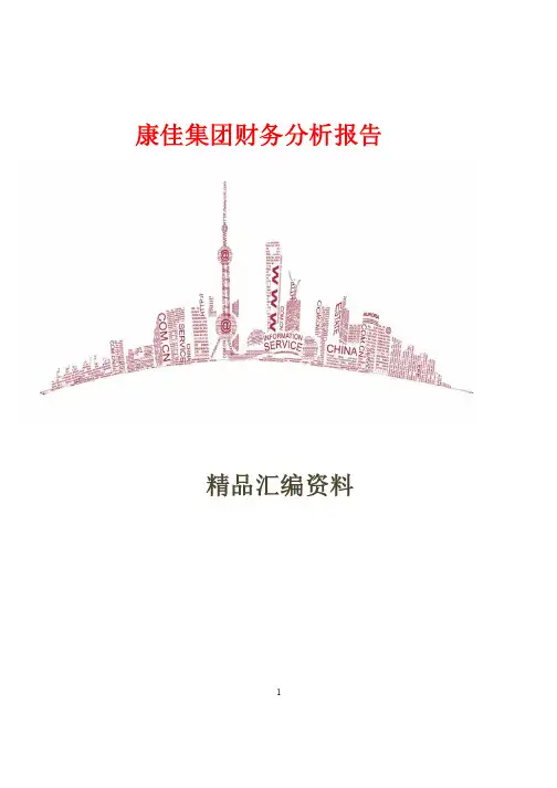 康佳集团财务分析报告16页