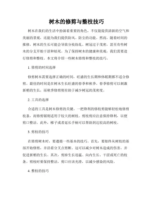 树木的修剪与整枝技巧