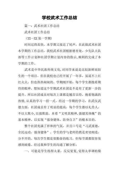 学校武术工作总结
