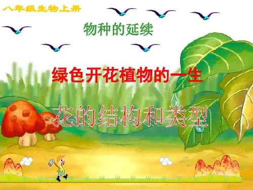 花的结构和类型济南版