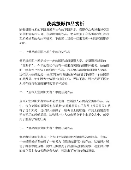 获奖摄影作品赏析