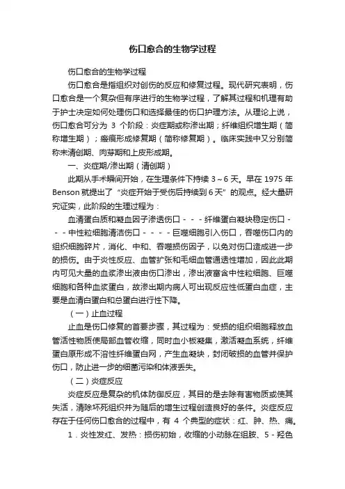 伤口愈合的生物学过程
