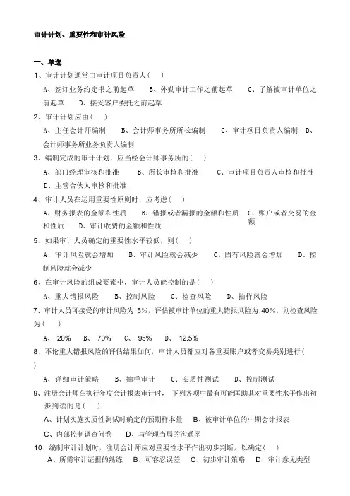 审计计划、重要性和审计风险