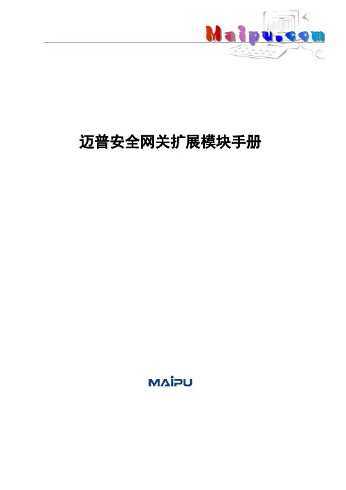 迈普安全网关扩展模块手册
