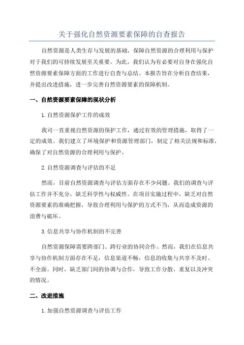 关于强化自然资源要素保障的自查报告