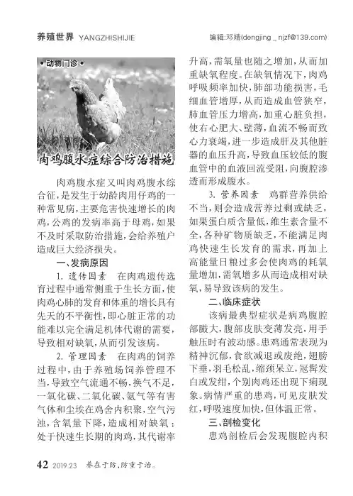 肉鸡腹水症综合防治措施
