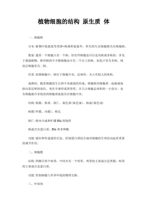 植物细胞的结构原生质体