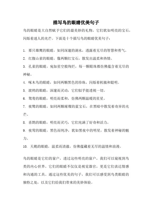 描写鸟的眼睛优美句子