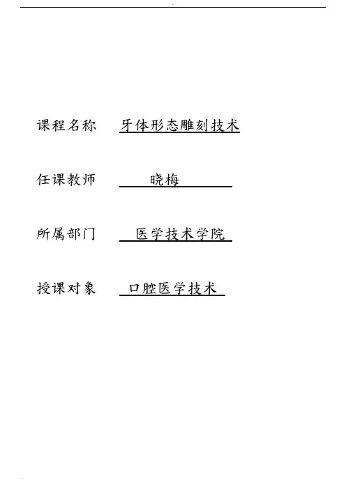 牙体形态雕刻技术标准教案