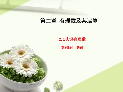 2.1认识有理数+第3课时数轴+课件2024-2025学年北师大版数学七年级上册